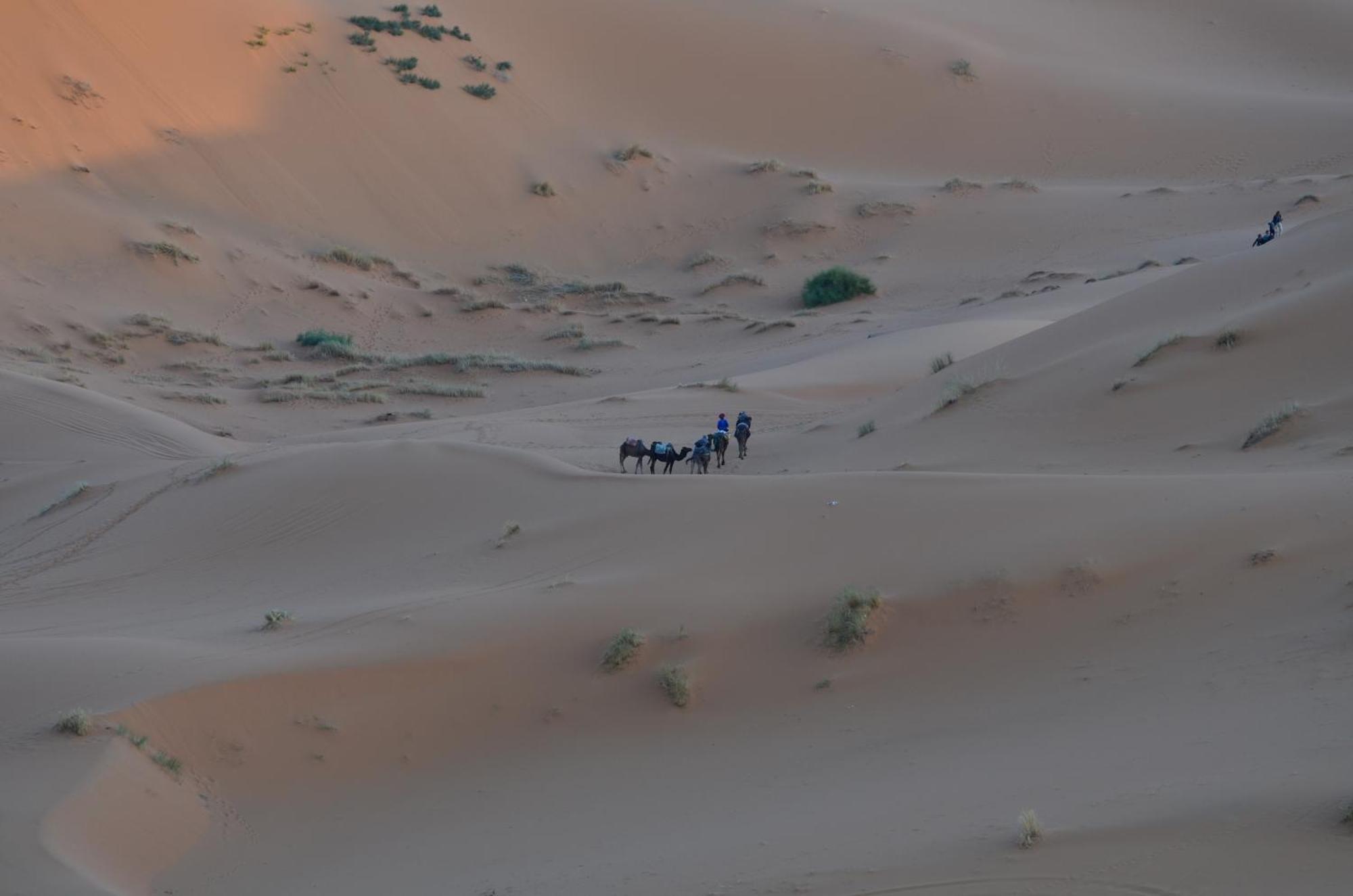 فندق Kasbah Erg Chebbi مرزوكة المظهر الخارجي الصورة